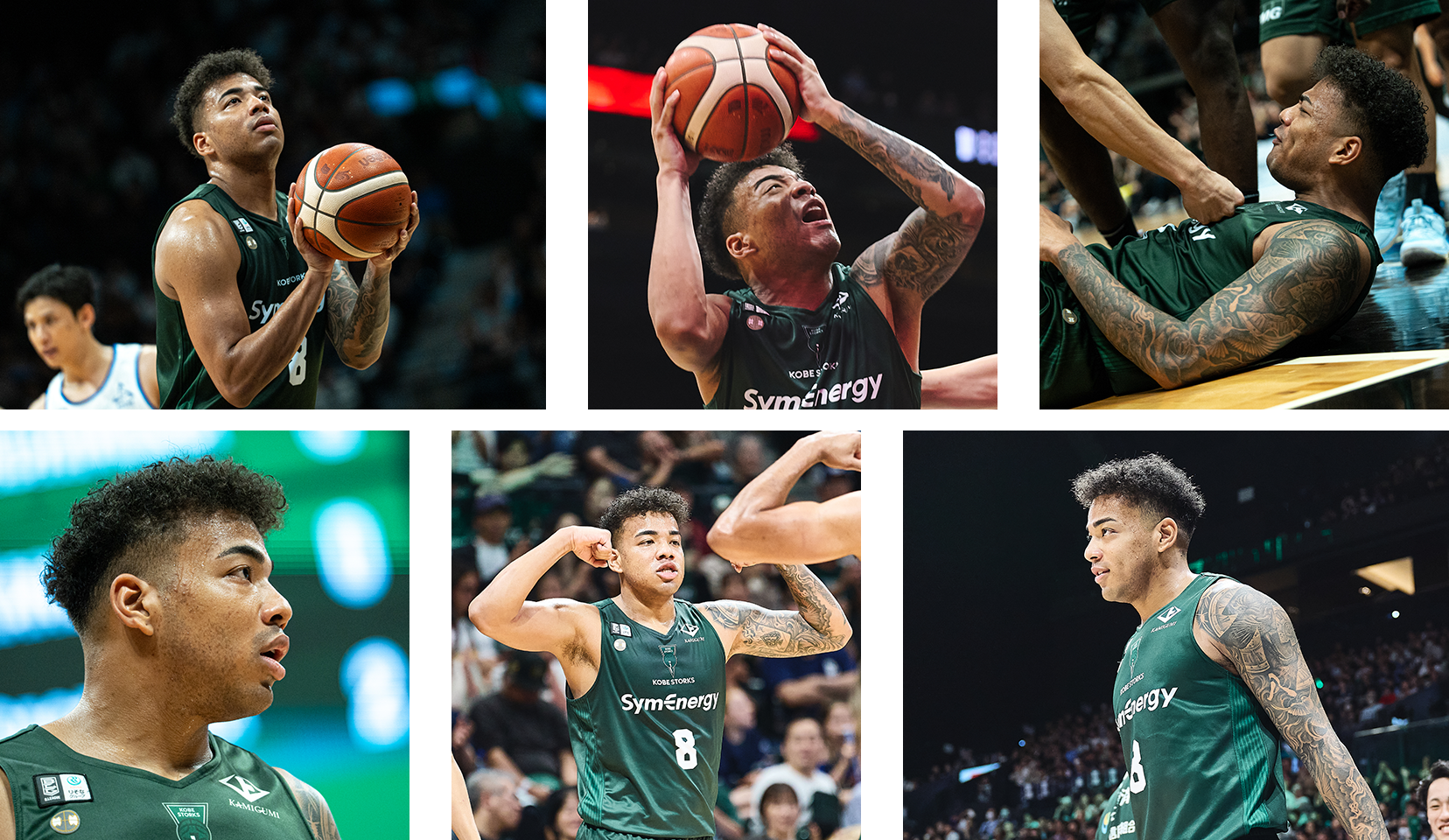 フォトギャラリー