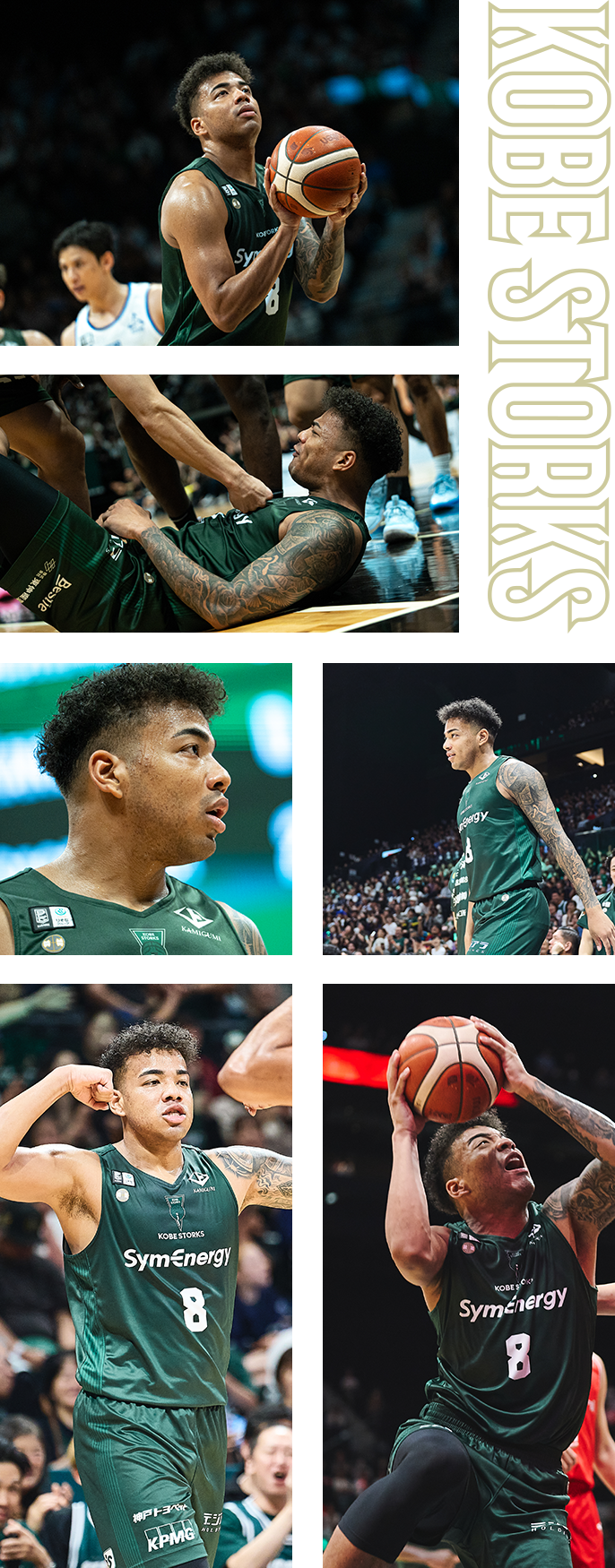 フォトギャラリー