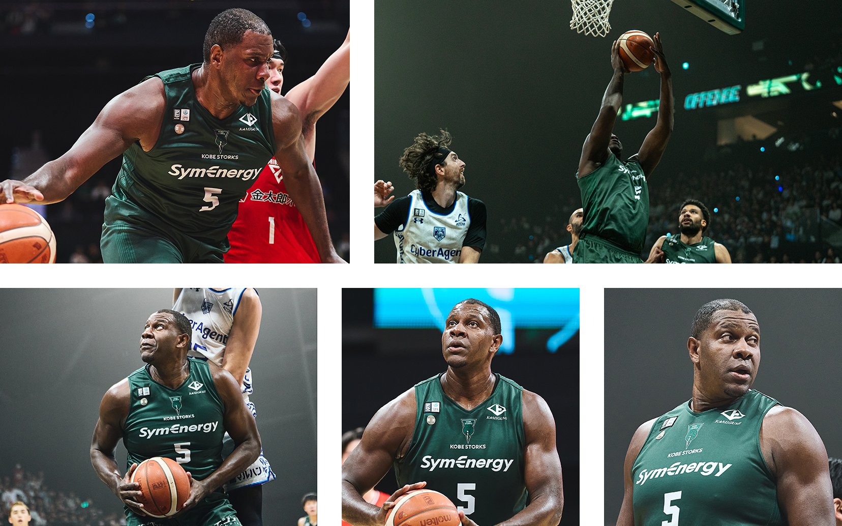 フォトギャラリー