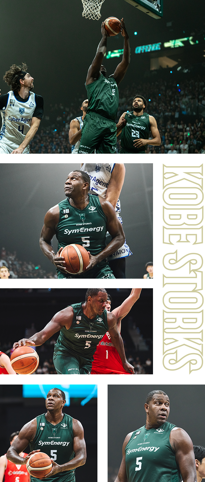 フォトギャラリー