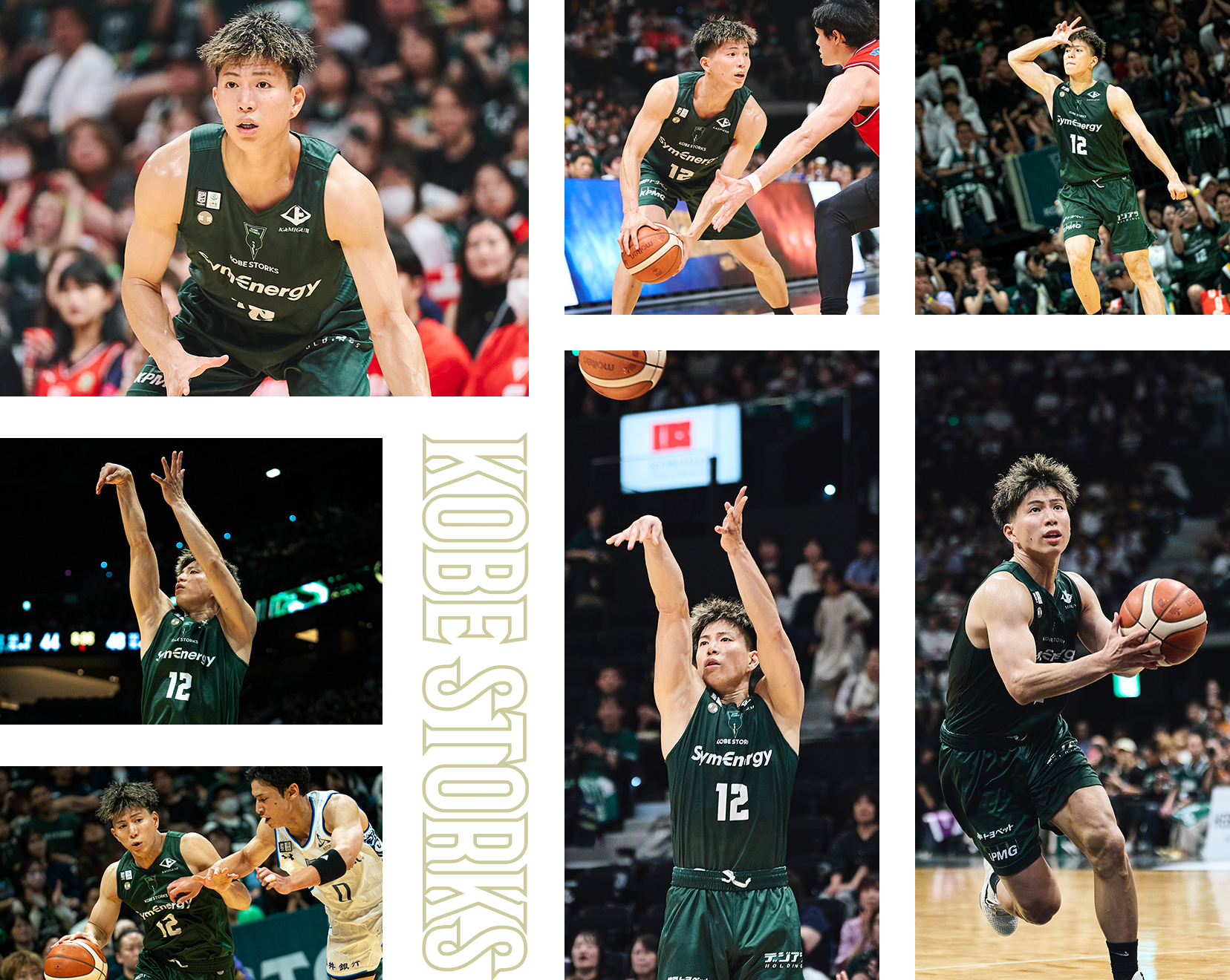 フォトギャラリー