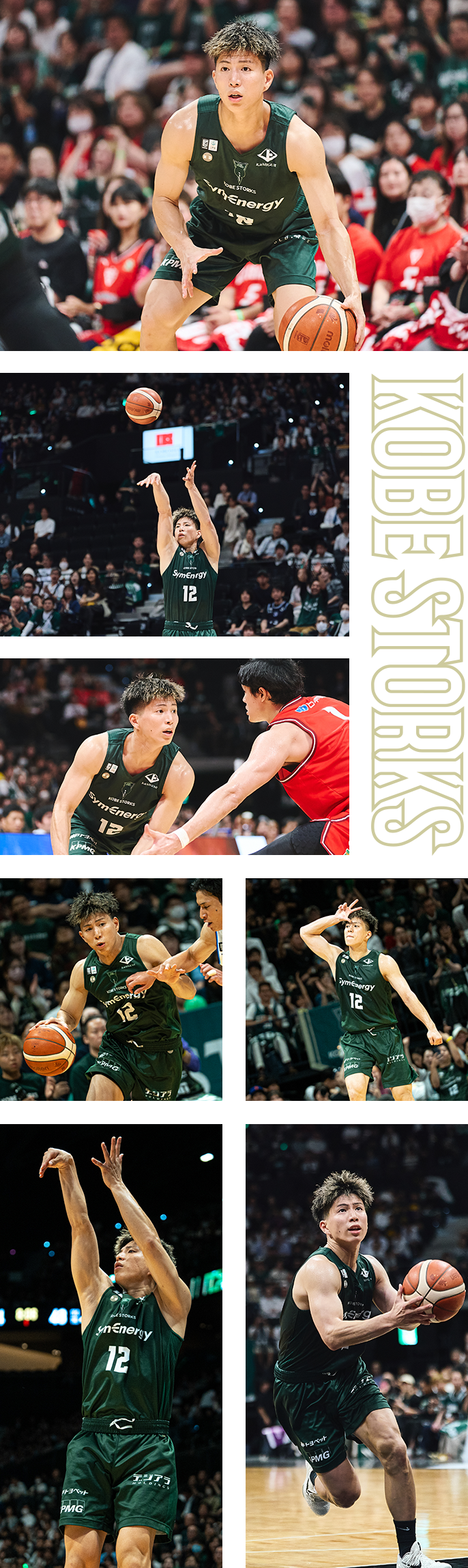 フォトギャラリー