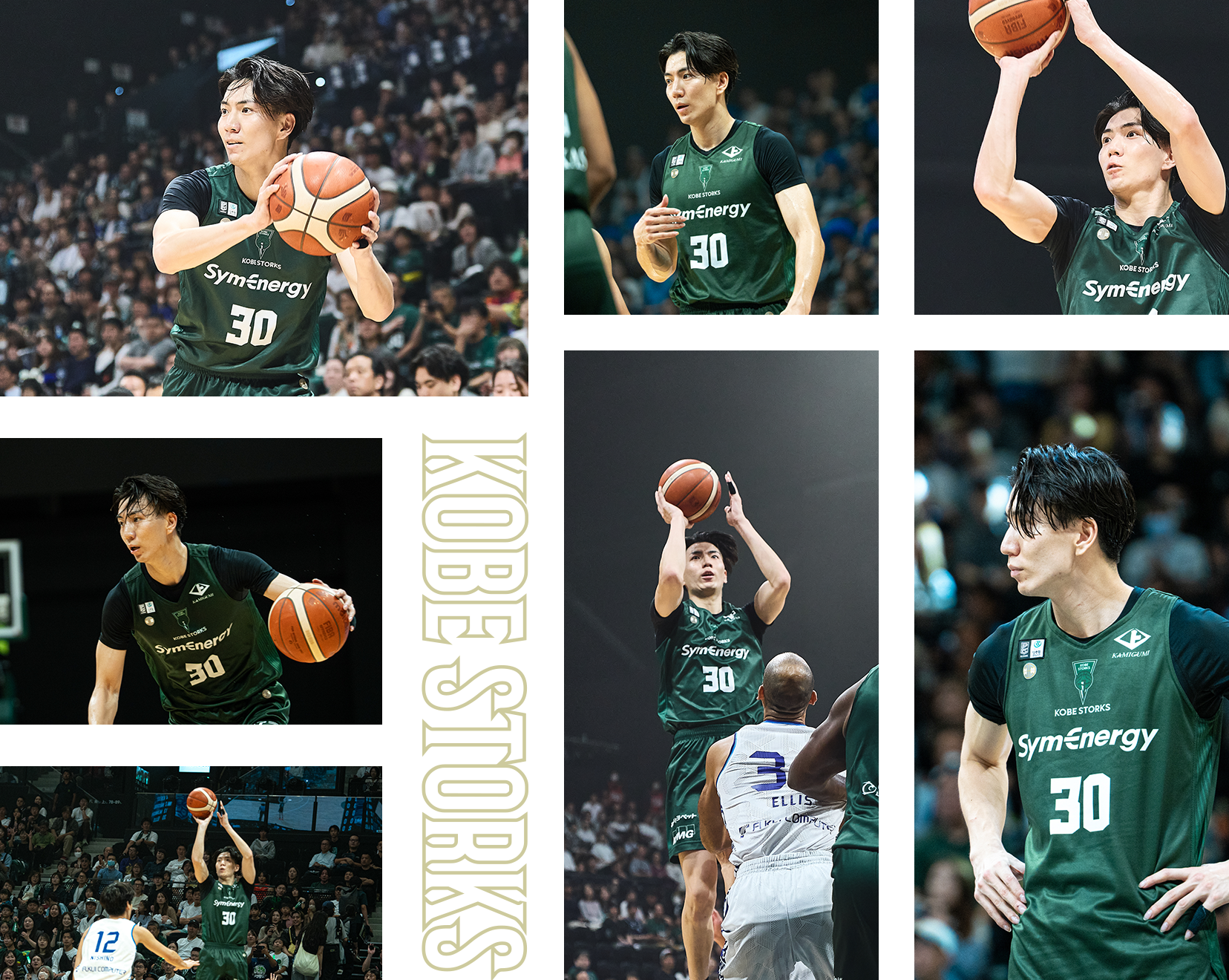 フォトギャラリー