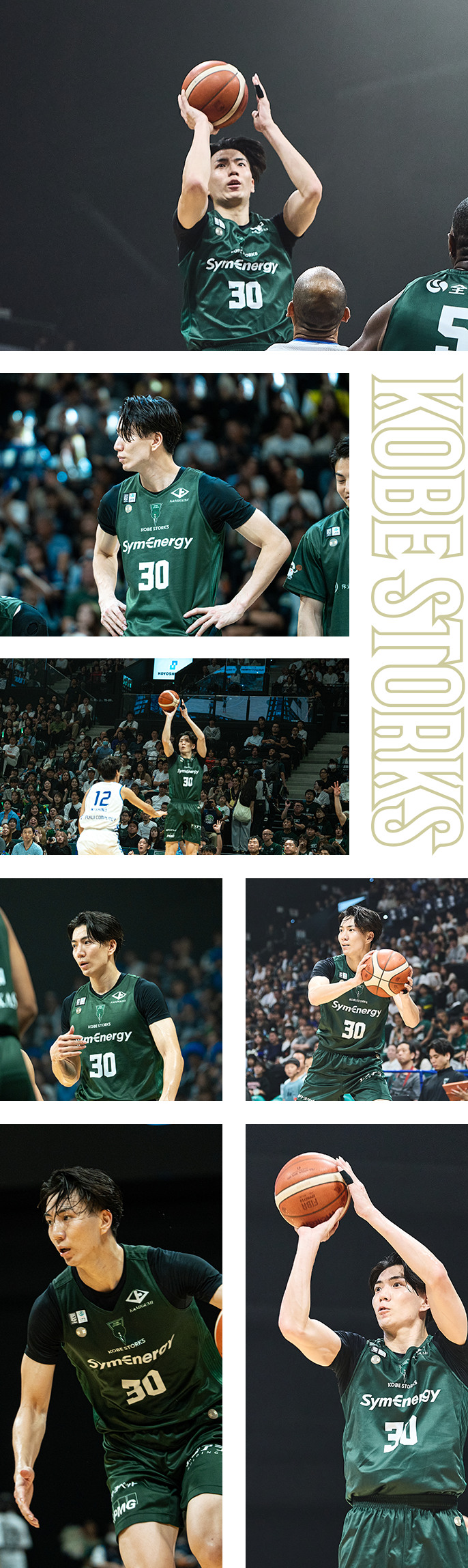 フォトギャラリー