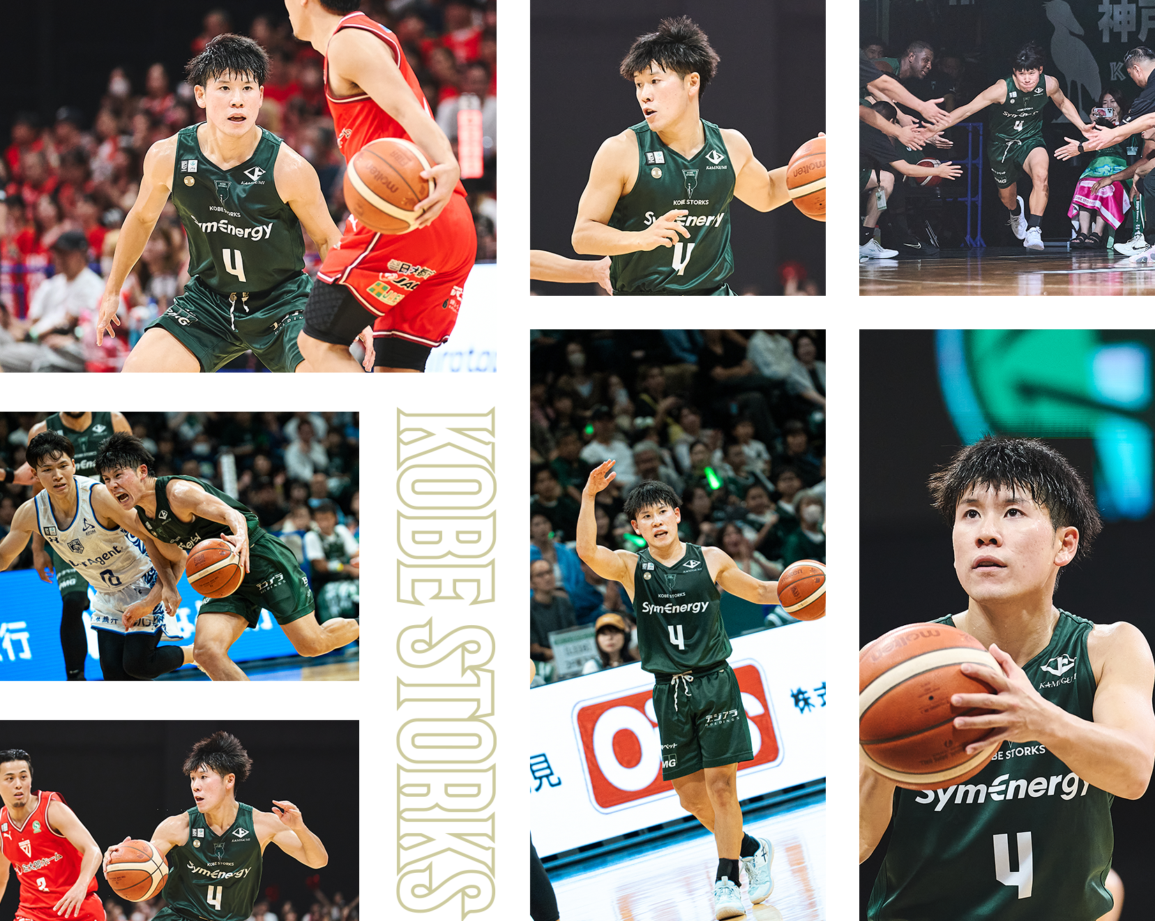 フォトギャラリー