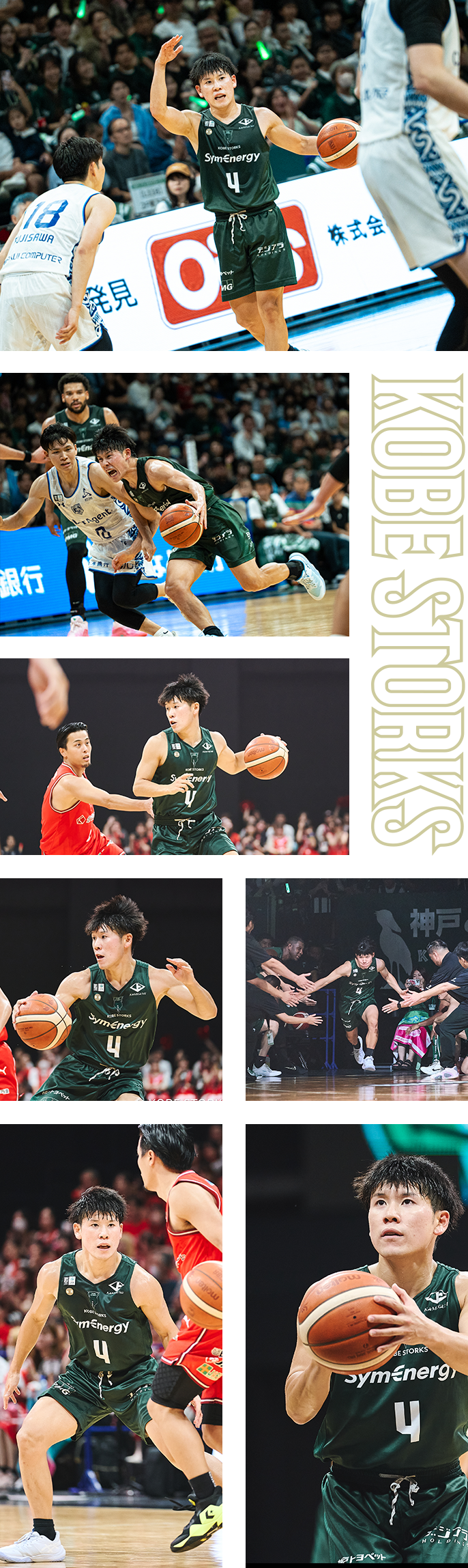 フォトギャラリー