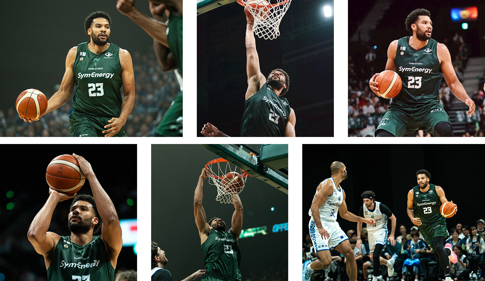 フォトギャラリー