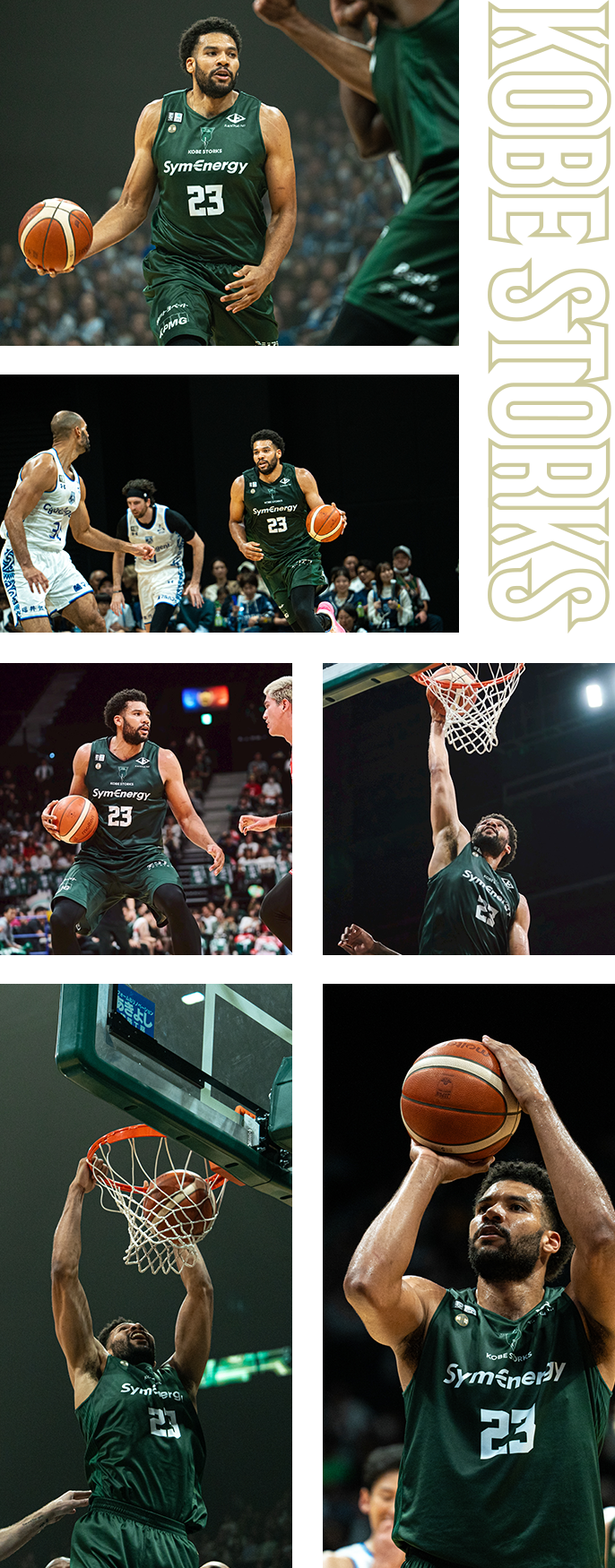 フォトギャラリー