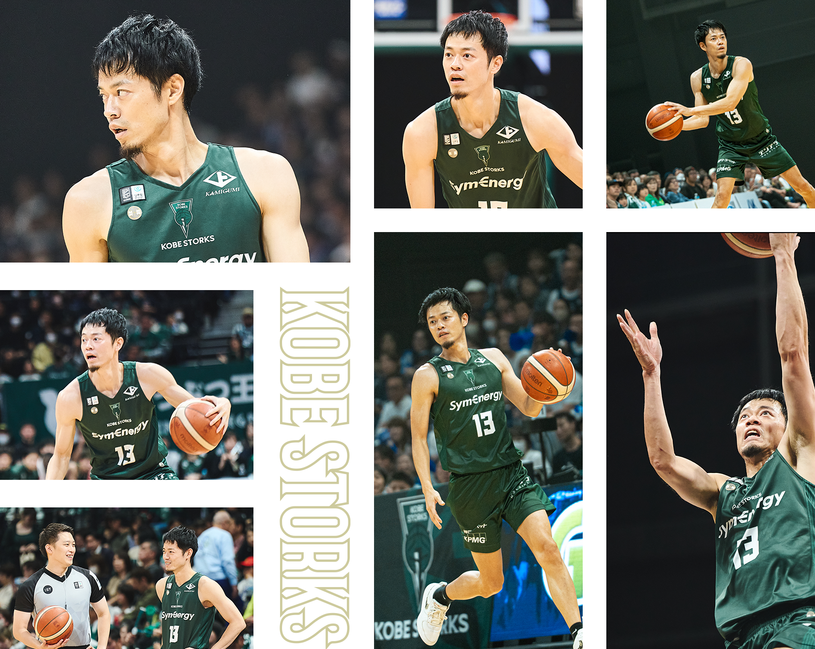 フォトギャラリー