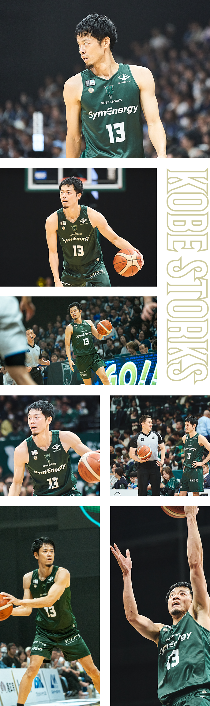 フォトギャラリー