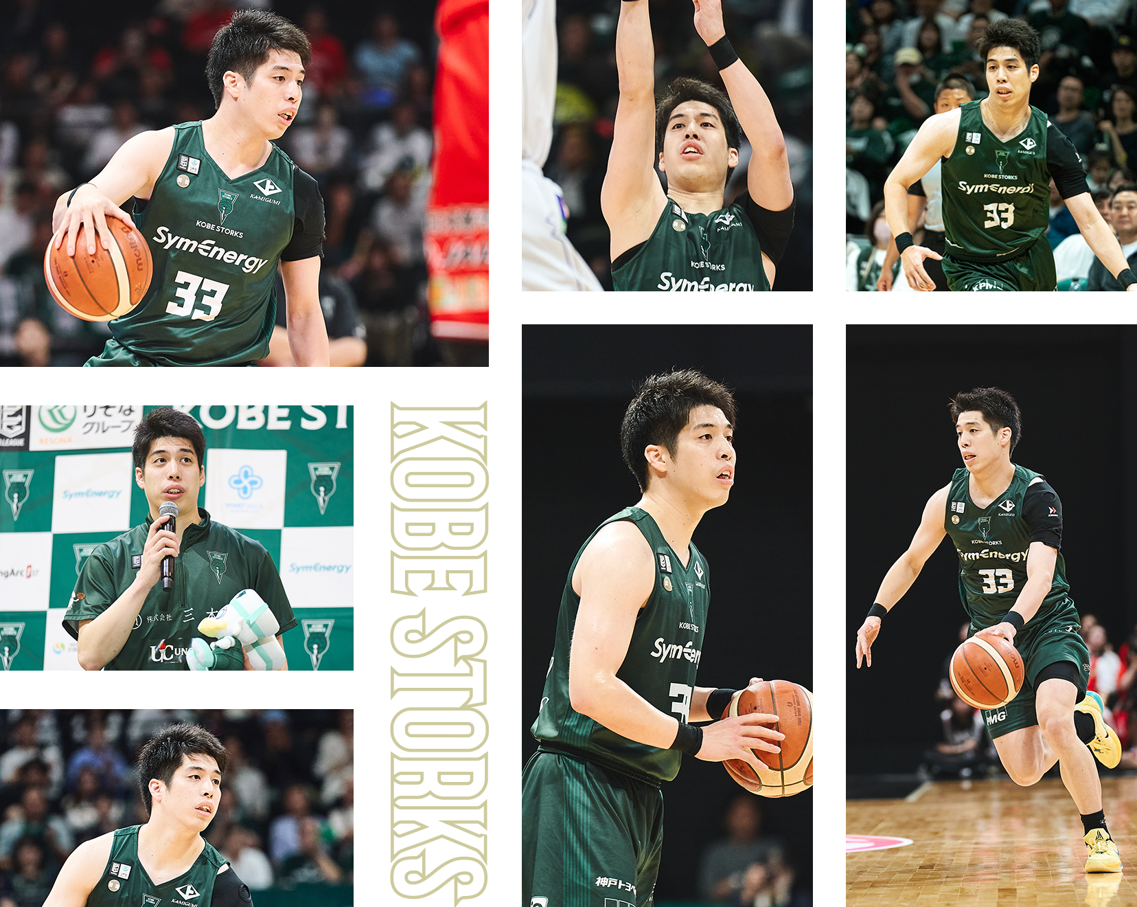 フォトギャラリー