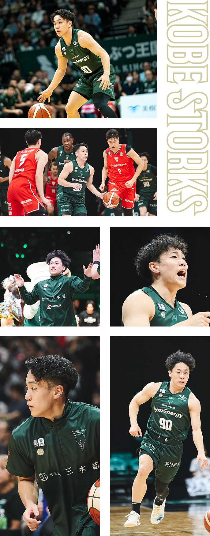 フォトギャラリー