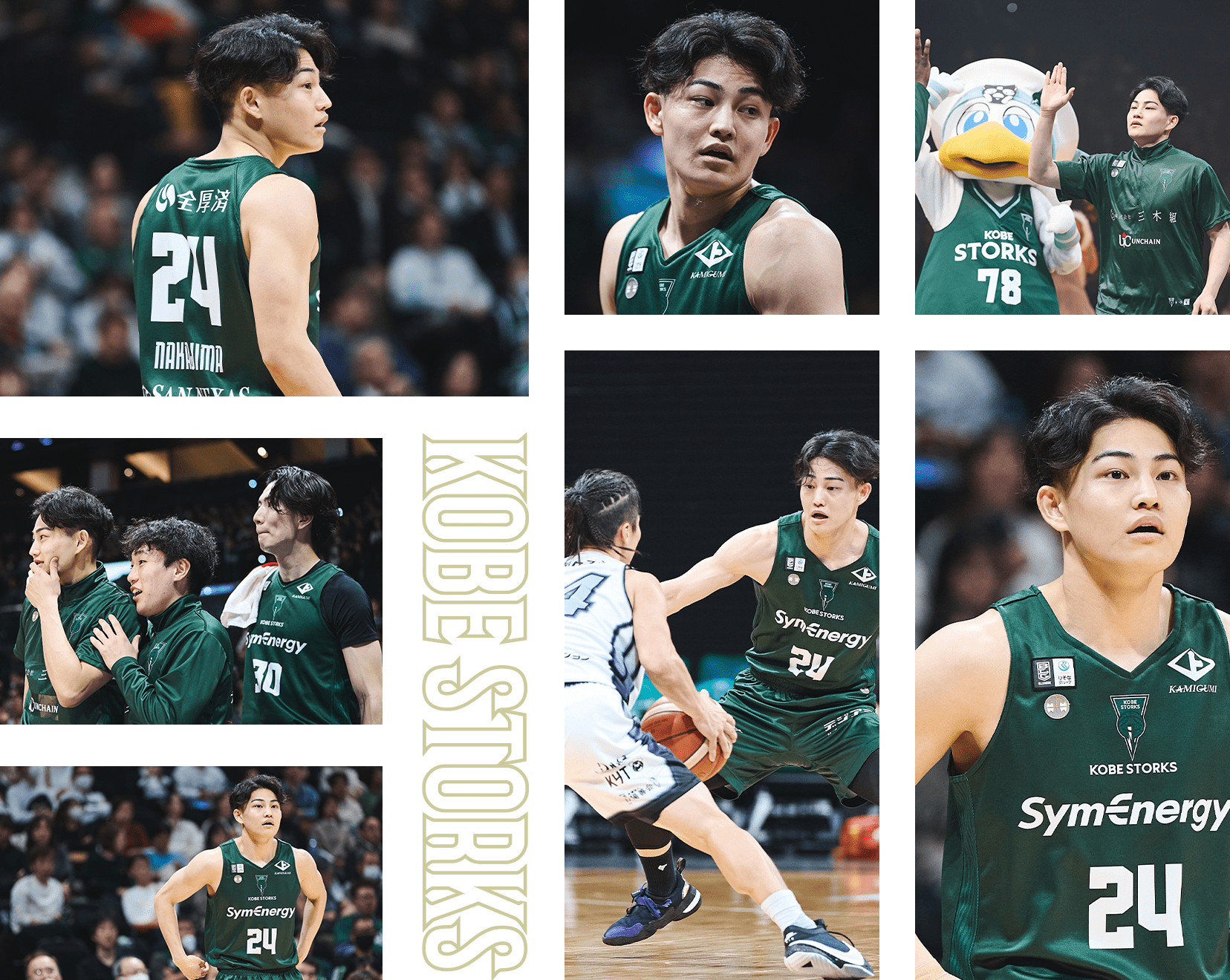 フォトギャラリー