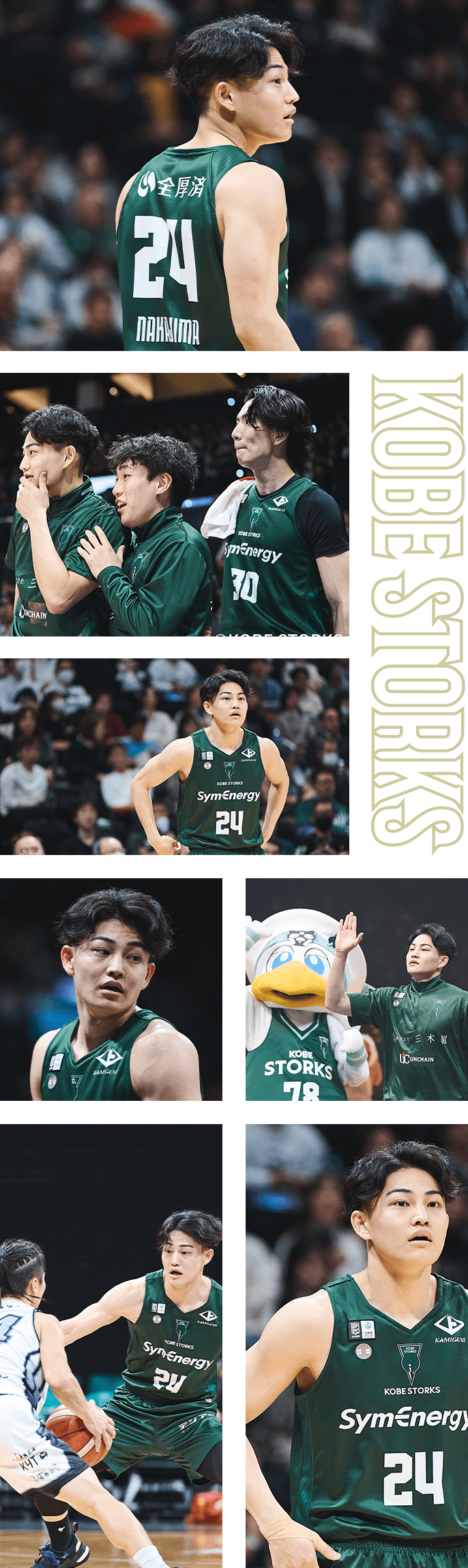 フォトギャラリー