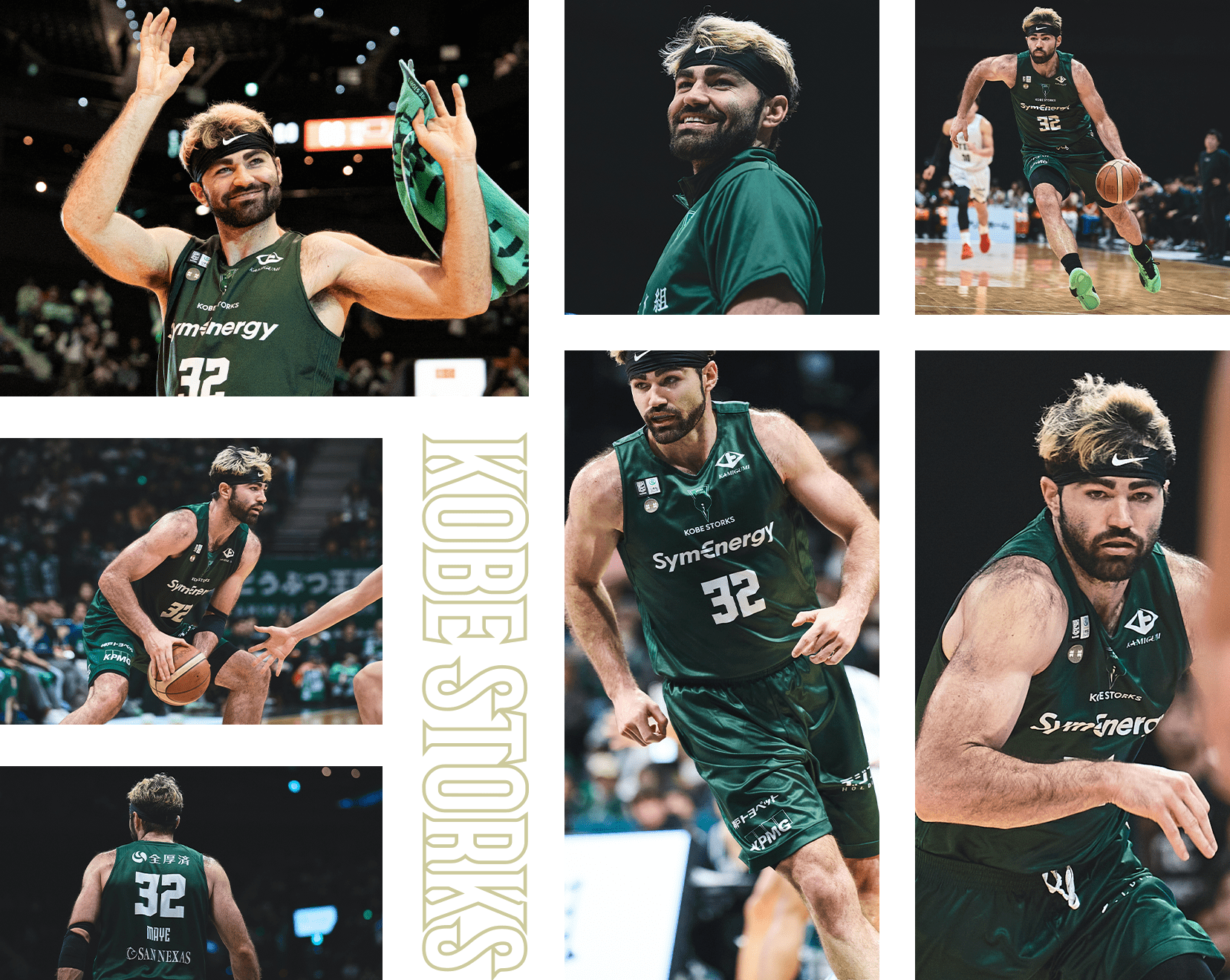 フォトギャラリー