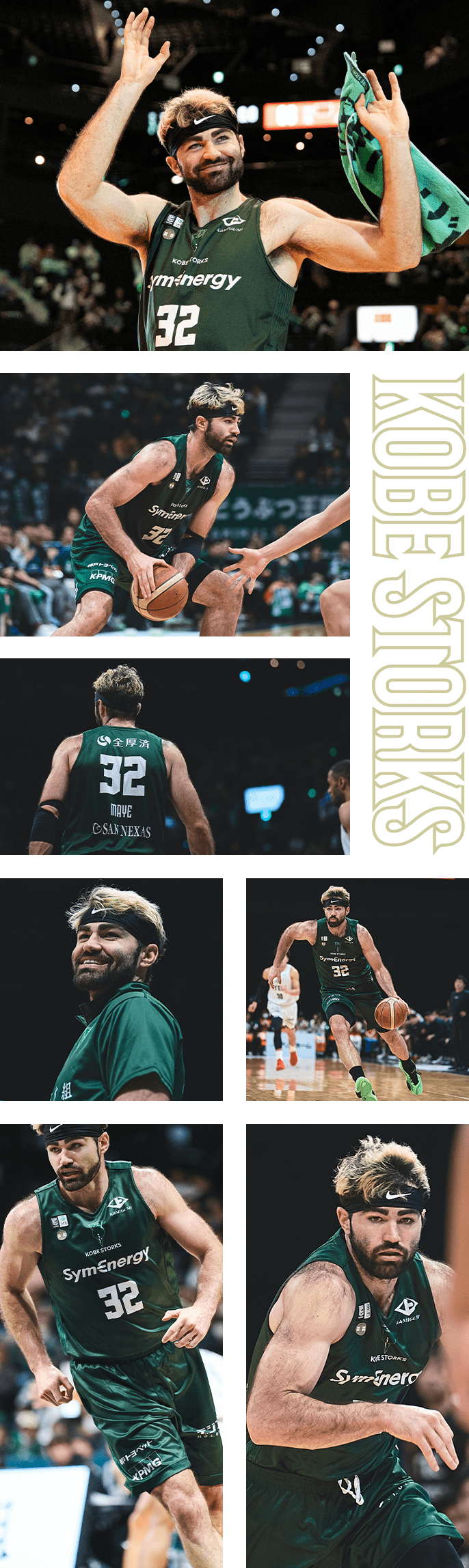 フォトギャラリー