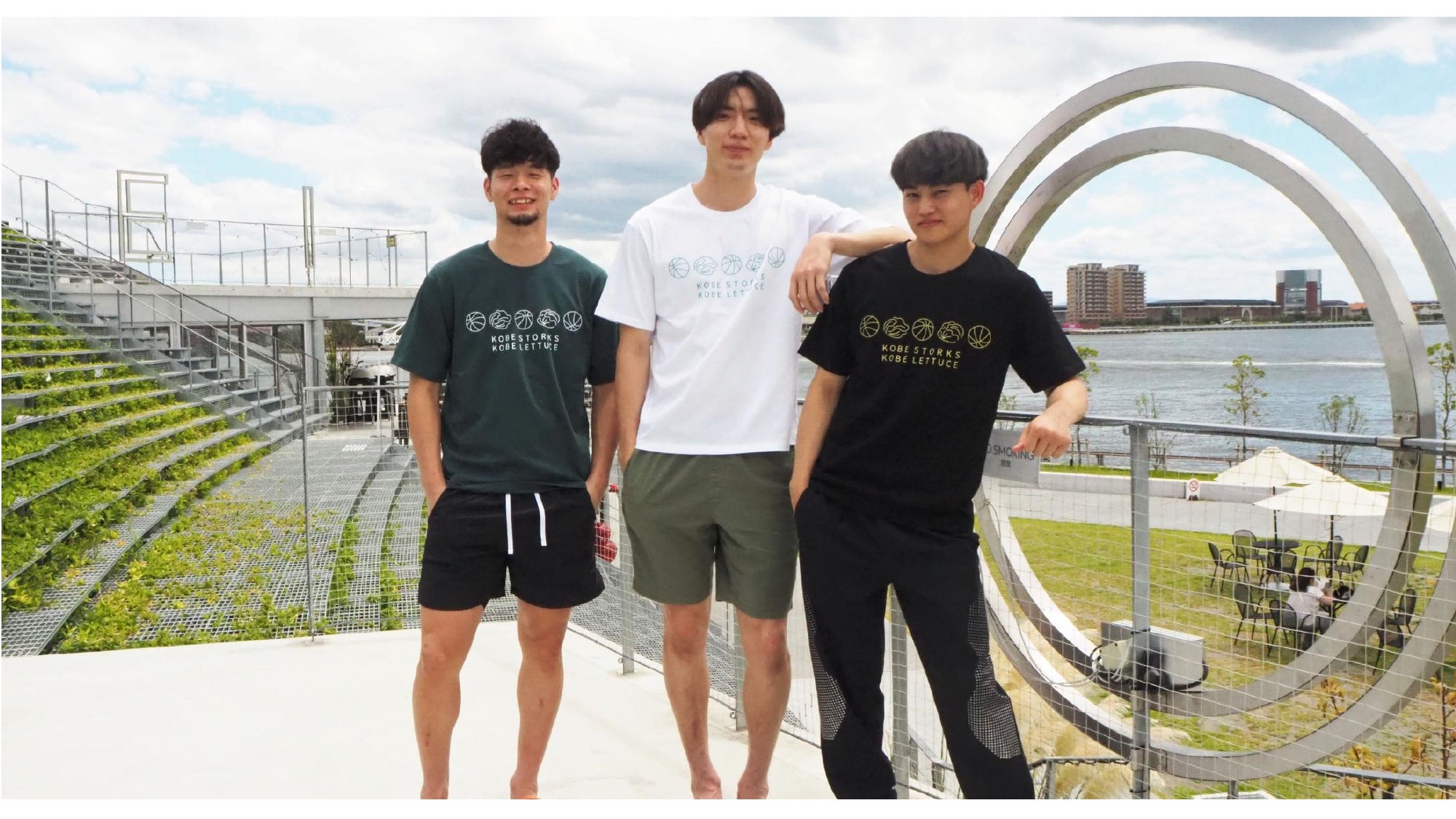 神戸レタス×神戸ストークス コラボ第2弾！「バスケットボールとレタスのTシャツ」発売のお知らせ